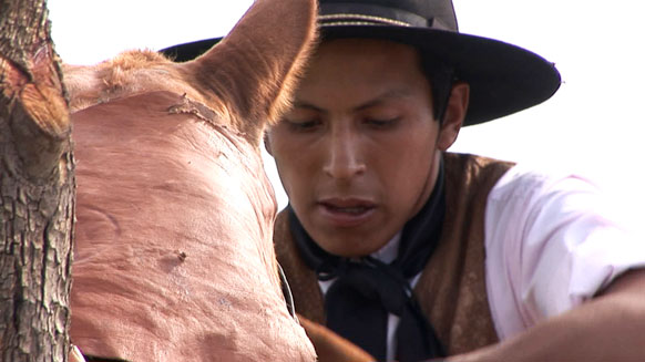Gaucho