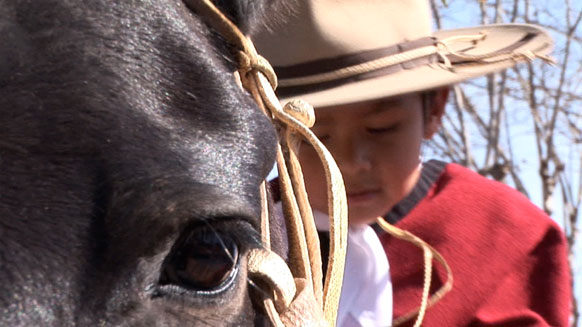 Gaucho